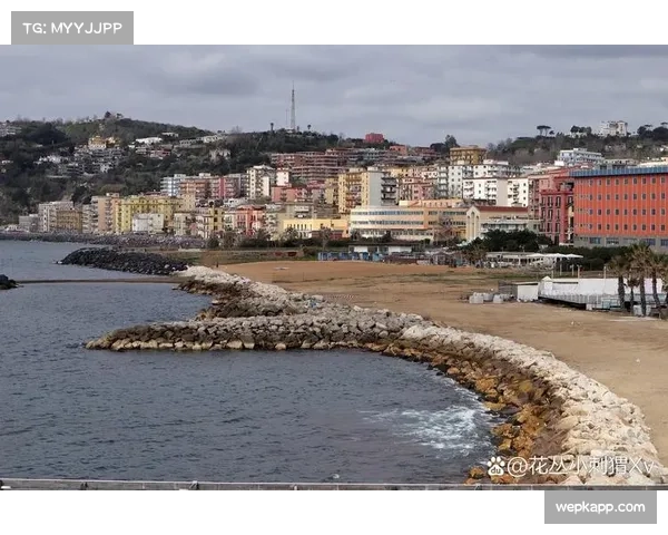 卡斯特罗22场7球 博洛尼亚前锋终结106天主场不胜魔咒